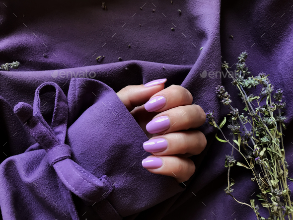 Female Hand with Purple Magenta Manicure Gradient Nails Violet Textile Background With Dry Lavender