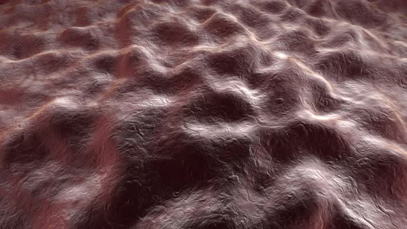 Animation of a microscopic view on moving muscle tissue