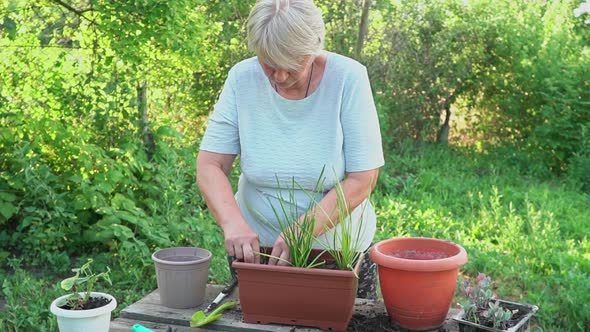 Gardening at Home alt