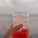 Red soda drink  - PhotoDune Item for Sale