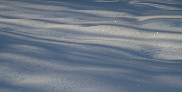 Shadows On Fresh Snow