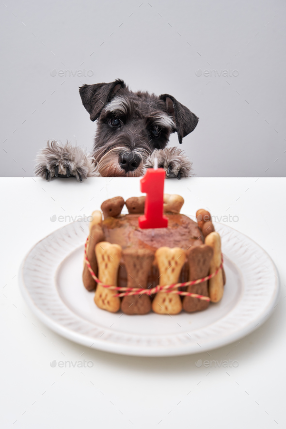 Miniature sales schnauzer cake