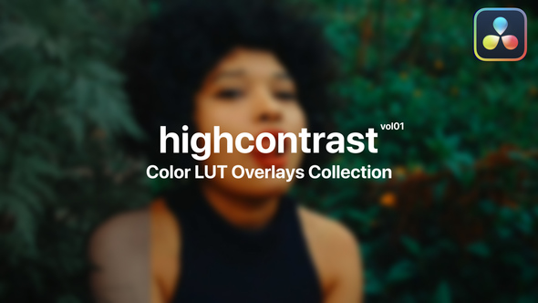 High Contrast Color Presets Vol. 01