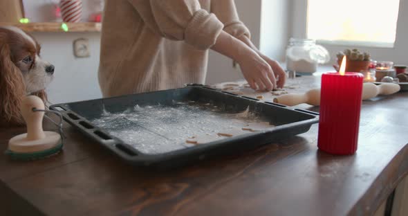 A Young Girl with Her Dog in the Kitchen Prepares Gingerbread Cookies for the Christmas Holidays and alt