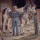 Unrecognizable woman putting pad on horse - PhotoDune Item for Sale