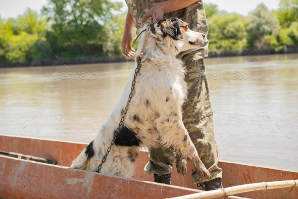 Fisherman in camouflage outfit pulling wet pet dog out of wooden boat after  fishing. Stock Photo by halynabobyk