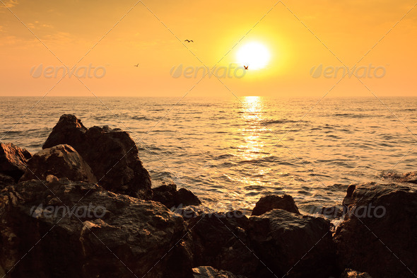 sunrise at sea - Stock Photo - Images