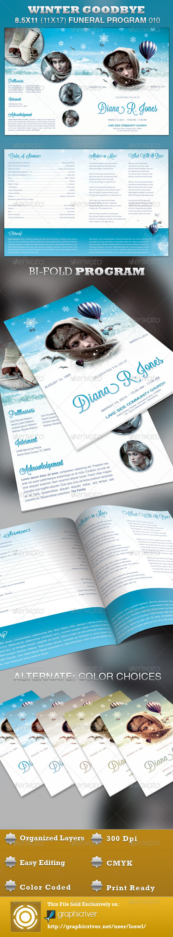 Winter Goodbye Funeral Program Template 010 - Informational Brochures