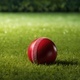 Red cricket ball seen on grass - PhotoDune Item for Sale
