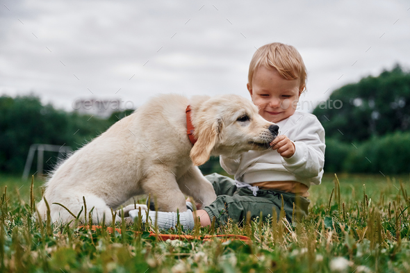 Little boy with deals golden retriever puppies