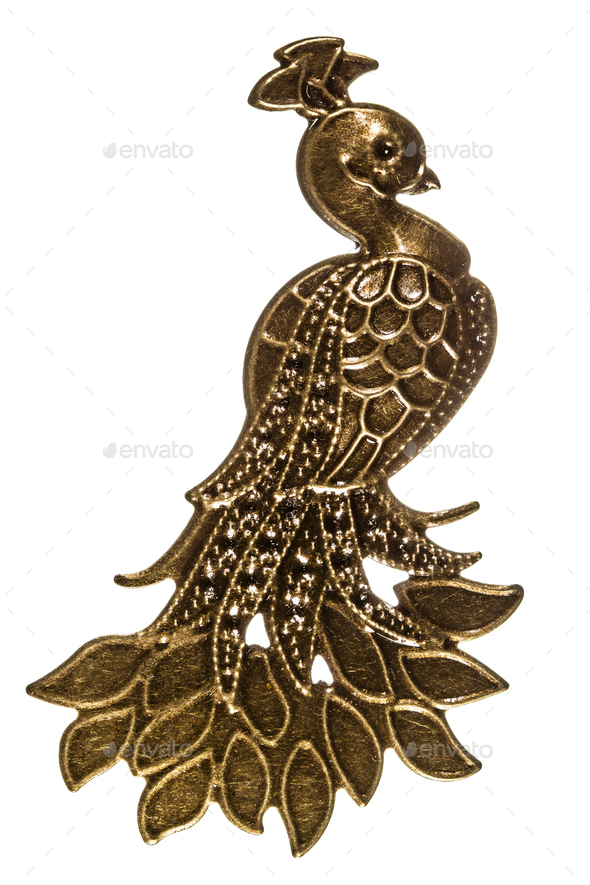 Fantastic bird, peacock, decorative element, isolated on white background