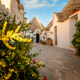 Characteristic Alberobello trullo with plant in the foreground - PhotoDune Item for Sale