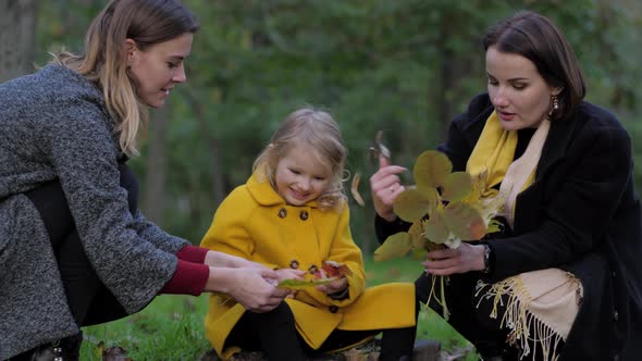 Two Charming Young Women and Cute Little Girl Collect a Bouquet of Beautiful Autumn Leaves on Lawn alt