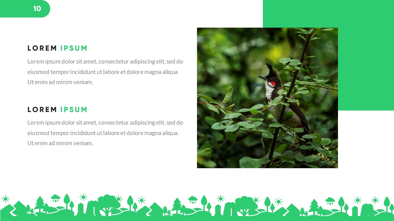 Grenia - Minimalist Tropical Google Slides Template, Presentation Templates