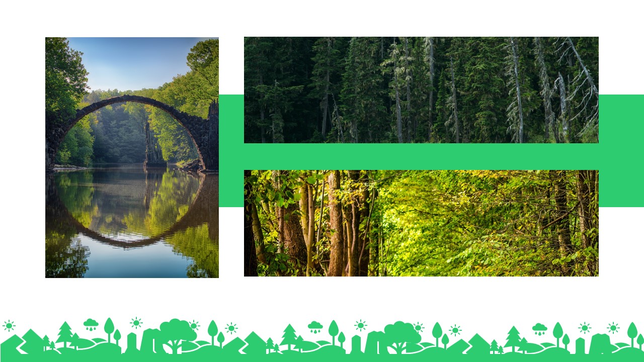 Grenia - Minimalist Tropical Google Slides Template, Presentation Templates