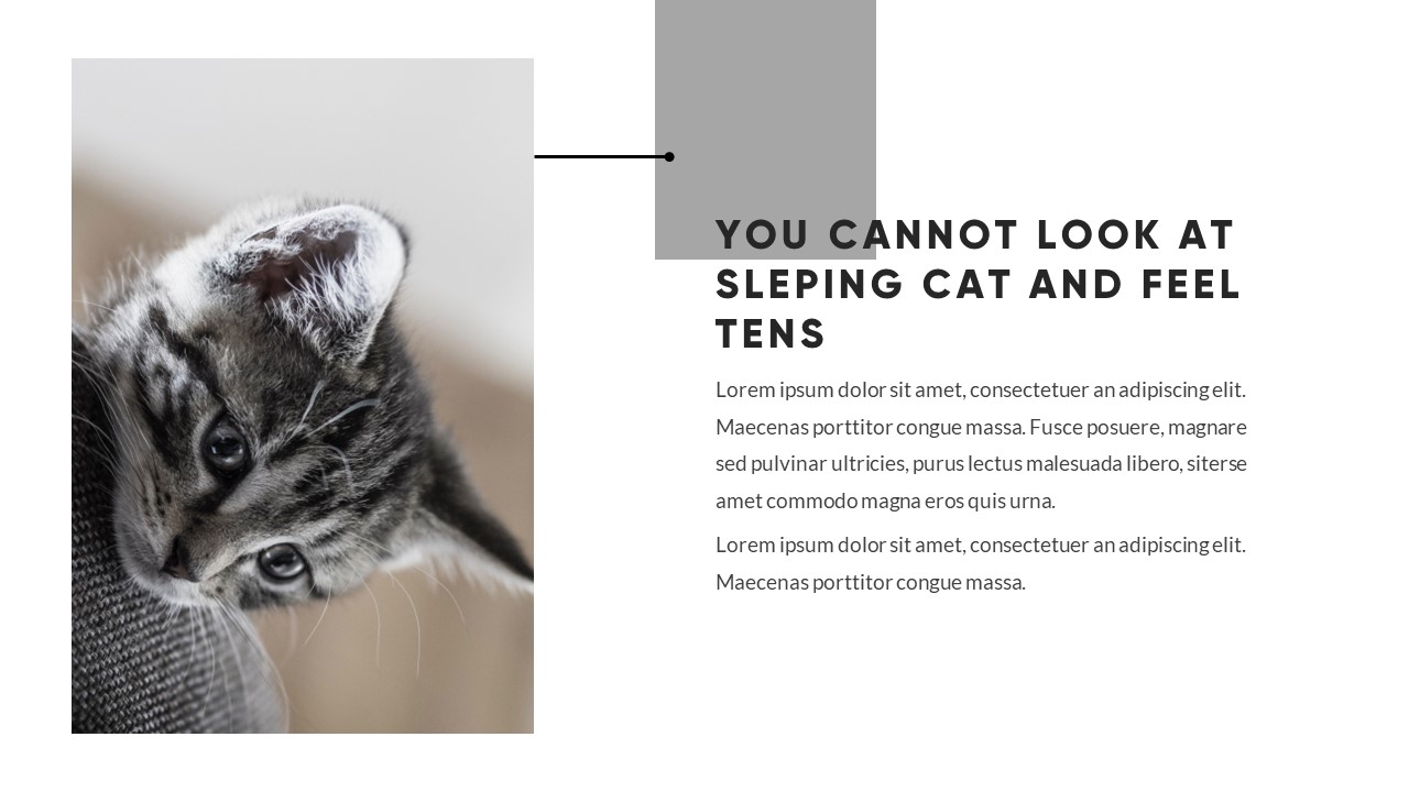 Kucing - Cat Animal Google Slides Template, Presentation Templates