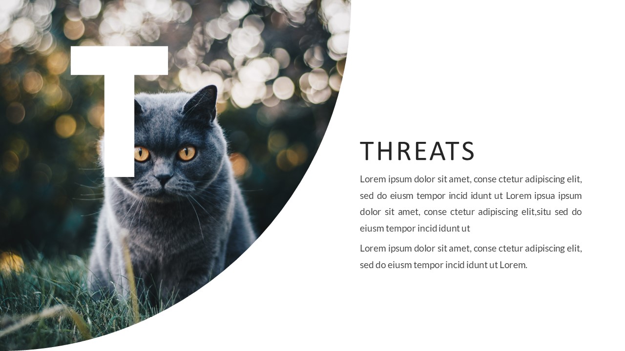 Kucing - Cat Animal Google Slides Template, Presentation Templates