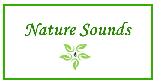 Nature Sounds