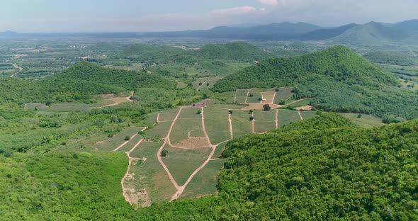 Pineapple Plantations or Pineapple Farmand a Mountainview in ThailandShot on DJI PT4 alt