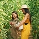 Standing together. Woman and girl are in the garden with tomatoes - PhotoDune Item for Sale