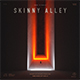 Skinny Alley Album Cover Art