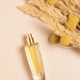 Perfume bottle and pampas grass. - PhotoDune Item for Sale