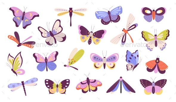 Isolated Decorative Butterflies Butterfly and