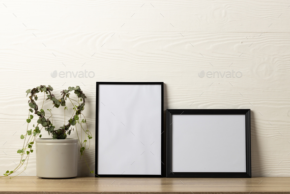 empty frames on white wall