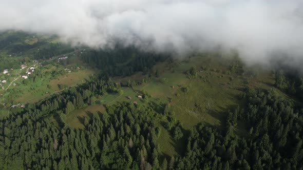 Flying Over the High Mountains with Pine Forest in Beautiful Clouds