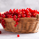 Ripe red currants - PhotoDune Item for Sale