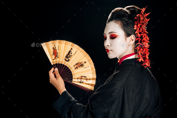 geisha in black kimono with red flowers in hair looking at traditional asian hand fan isolated on