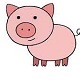 Cartoon Pig