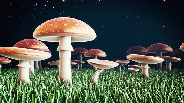 Magic Amanita Mushrooms #3 4k
