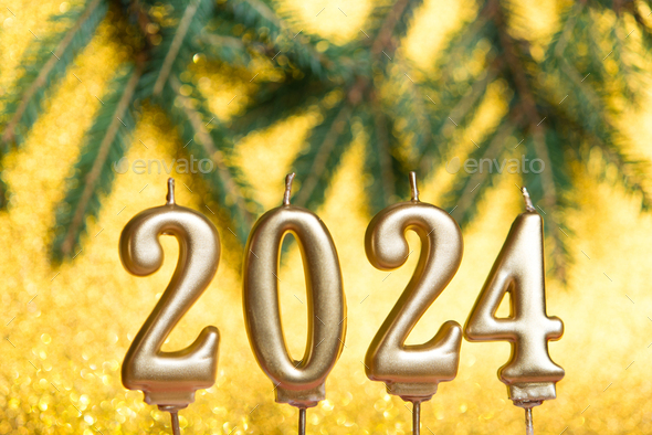 Happy New Years 2024. Many Christmas tree branches. Stock Photo by