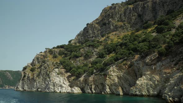Cliff with vegetation on the seashore alt