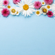 Garden blossom flower heads on blue background - PhotoDune Item for Sale