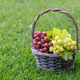 Grape in basket - PhotoDune Item for Sale