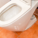 removed old toilet bowl on floor covered by tiles - PhotoDune Item for Sale