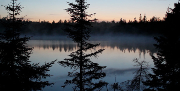 Lake Sunset In The Woods