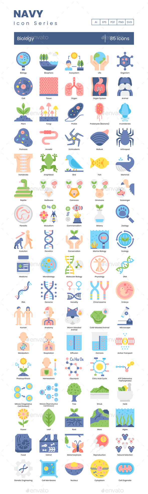 [DOWNLOAD]85 Biology Icons | Navy Series