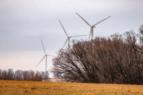 View of Wind turbines farm aligned on ground with Siberian elm trees against a light sky