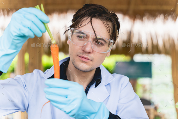 Agricultural researchers hold and analyze research carrots to produce better results in the future.