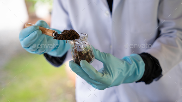 Close up hand agricultural researchers hold and analyze research soil to produce better results.