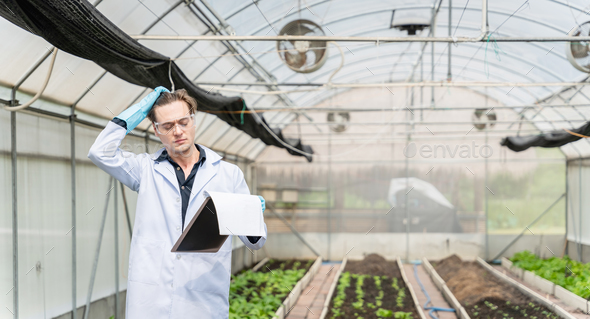 Agricultural researcher in the Industrial greenhouse analyze and take ...