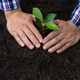 Farmers plant seedlings into fertile soil. - PhotoDune Item for Sale