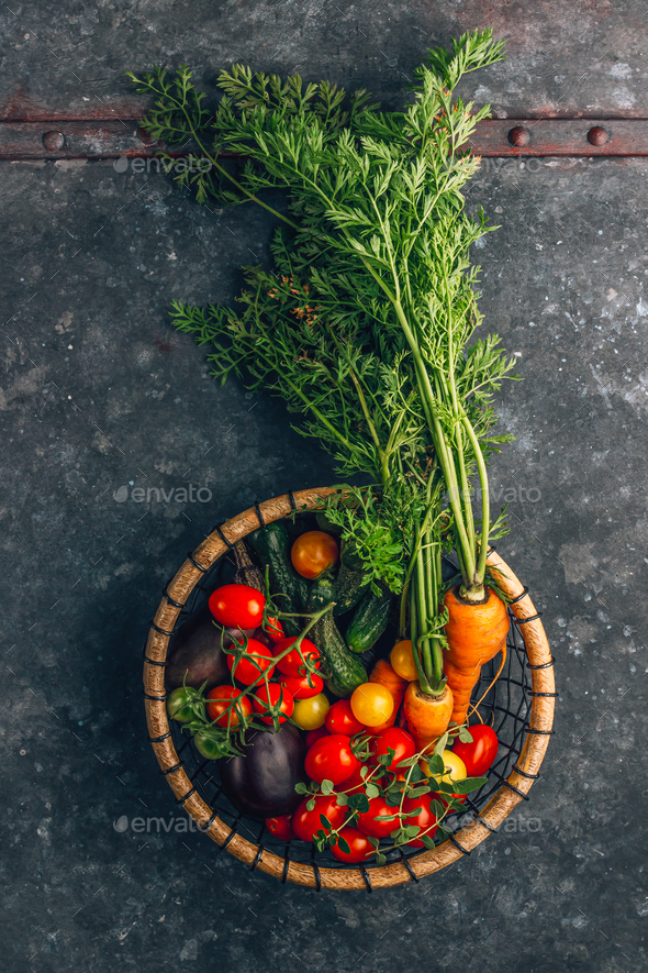 Fresh mini cucumbers stock photo. Image of small, vegetables