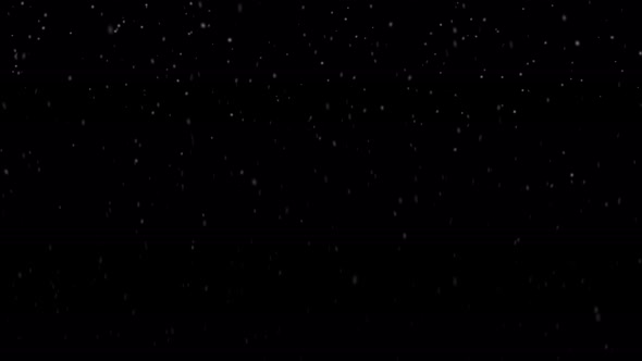 Winter real snow fall effect. Snow storm isolated on black background overlay.