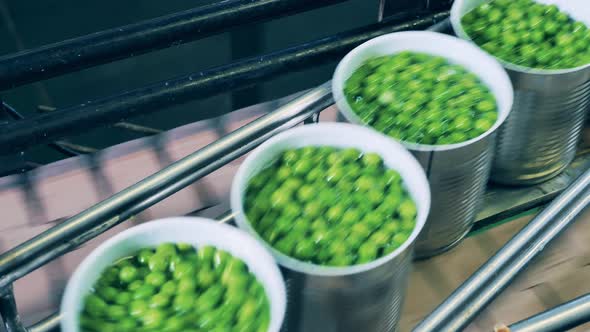 Tin Cans Filled with Green Peas are Moving Through the Conveyor alt