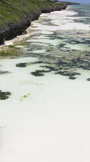 Vertical Video of Low Tide in the Ocean Near the Coast of Zanzibar Tanzania alt