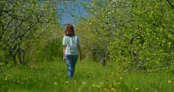 Redhaired Woman is Walking in Blossoming Garden in Spring Day Rear View  Prores